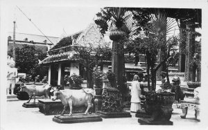 lot 22 cow statue real photo india ?????