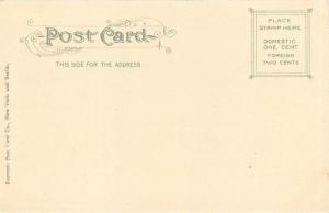 Newport News Virginia c1906 Postcard Hotel Warwick