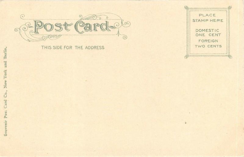 Newport News Virginia c1906 Postcard Hotel Warwick