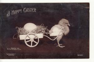 EASTER   CHICK / EGG CART  1907 Rotograph RPPC postcard