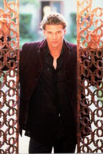 TV Series Buffy The Vampire Slayer Angel David Boreanaz