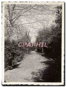 Photo Hotel Eden Park A park alley