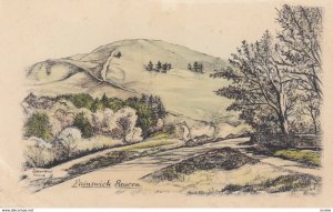 Painswick Beacon , England , 1930s