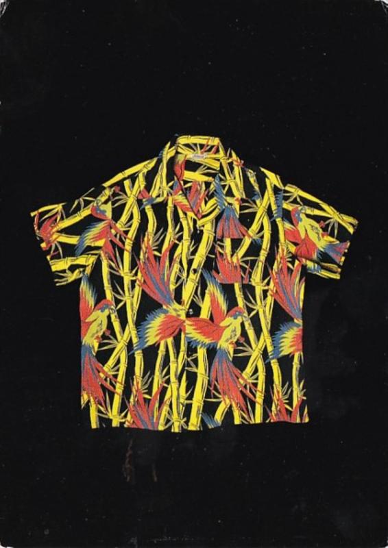 Advertising Dreamland Shirt Collection Vintage Hawaiian Shirt Detail 8313