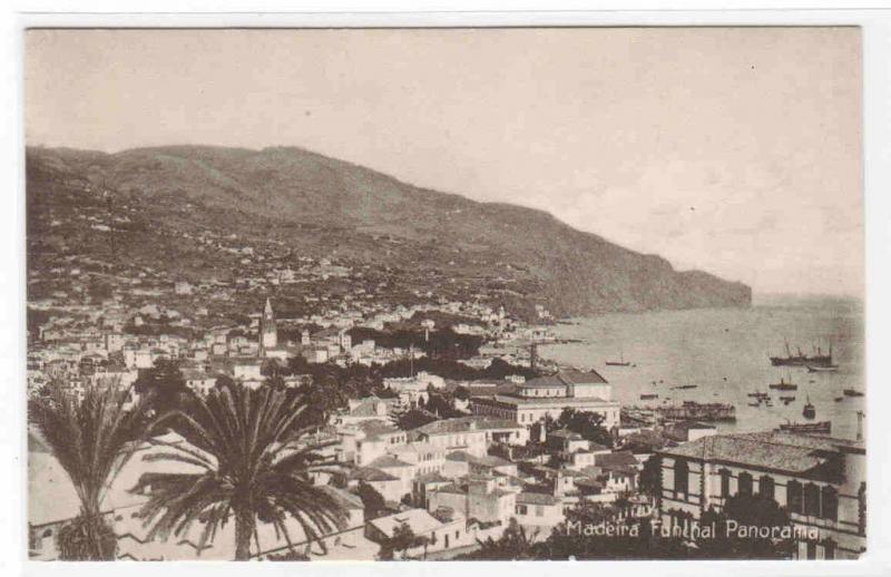 Panorama Funchal Madeira Portugal 1910c postcard