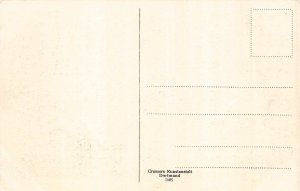 Germany Baden-Baden Total view vintage postcard