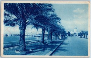 c1930s Benghazi, Libya Seafront Beach Sea City Palm Tree Africa Cyanotype A191