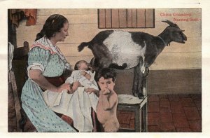 NURSING A GOAT & PLANE OVER OCEAN AT MORRO CASTLE HAVANA-CUBA SOFT PICTURE CARDS