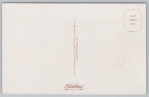 Culbertson Montana~Lake View & Mountains~Deer~Vintage Postcard