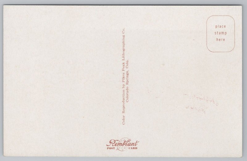 Culbertson Montana~Lake View & Mountains~Deer~Vintage Postcard