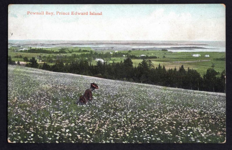 PEI Prince Edward Island POWNALL BAY Pub Valentine & Sons'  PEI Island RR Und/B