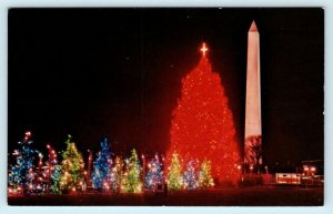 Washington D.C. NATIONAL CHRISTMAS TREE & Fifty Small Trees at Night  Postcard