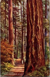 Tucks 2687 Tacoma WA Forest Road Near Tacoma WA Vintage Postcard G68