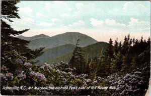 Postcard GARDEN SCENE Asheville North Carolina NC AL3751