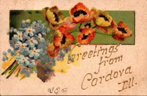 Illinois Greetings From Cordva With Flowers 1907