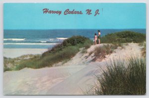 Harvey Cedars New Jersey~Beach View~Bathers on Dunes~1950s Postcard
