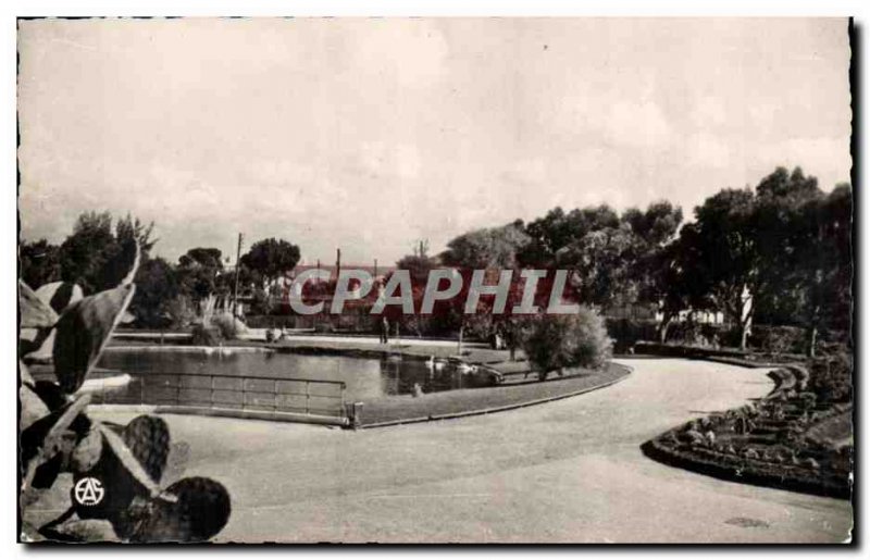 Algeria Oran Old Postcard corner of the city park
