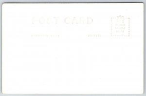 Mitchell SD World's Only Corn Palace~Night~1940 Theme: America First~Grigg RPPC