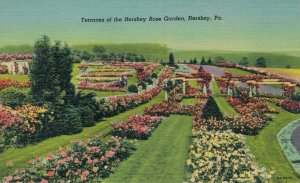 USA Terraces of the Hershey Rose Garden Hershey Linen Postcard 07.55