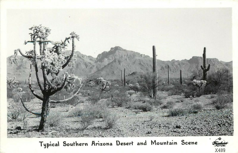 Frashers RPPC X-489 Typical Southern Arizona Desert & Mountain Scene, Unposted