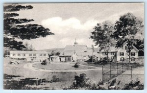 RAYMOND, Maine ME ~ Roadside PINE GROVE FARM  Cumberland County Postcard