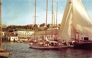 Mackinac Island Yatch Race - Mackinac Island, Michigan MI  