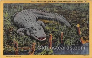 Silver Springs, FL, USA Old Cannibal Unused 