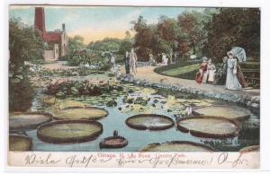 Lily Pond Lincoln Park Chicago Illinois 1906 postcard