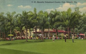 PC GOLF, FL, ORLANDO, DUBSDREAD COUNTRY CLUB, Vintage Postcard (b45781)