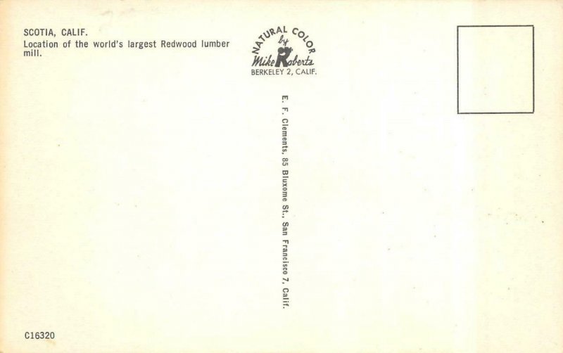 SCOTIA, CA California  WORLD'S LARGEST LUMBER MILL~Log Jam HUMBOLDT CO  Postcard
