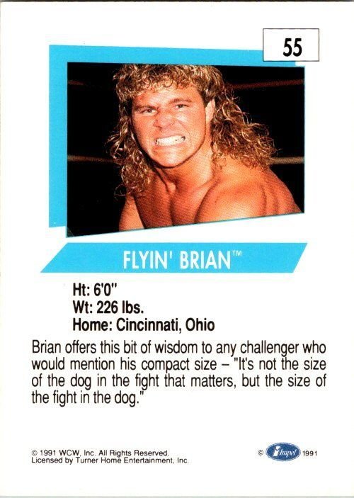1991 WCW Wrestling Card Flyin' Brian Brian Pillman sk21212