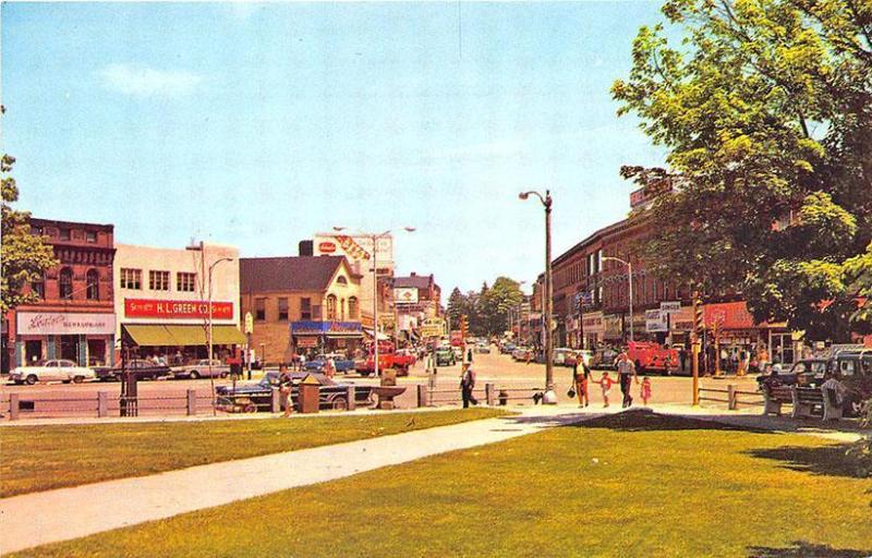 Taunton MA H. L. Green Street View Storefronts Old Cars Postcard