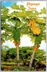 Postcard Honolulu Hawaii HI Papaya Trees Tropical Fruit 1950s Chrome