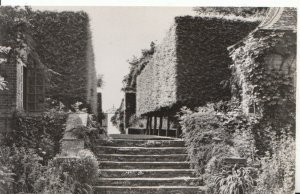 Gloucestershire Postcard - Hidcote Manor Gardens - The Hornbeam Hedge  Ref 3888A