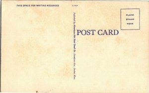 Mt Washington from Glen House, Pinkham Notch White Mts NH Vintage Postcard W17