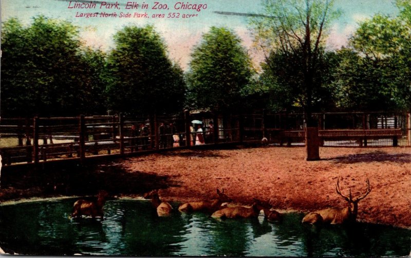 Illinois Chicago Lincoln Park Zoo Elk 1910