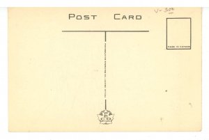 Canada - QC, Gaspe. A Typical Ox Cart