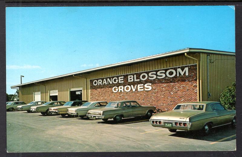 Orange Blossom Groves,Seminole,FL BIN