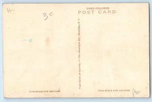 Bermuda Postcard Main Road West of Inverurie c1930's Vintage Handcolored