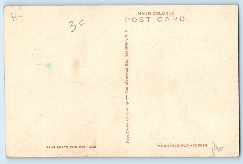 Bermuda Postcard Main Road West of Inverurie c1930's Vintage Handcolored