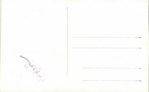 iraq, MOSUL الموصل, Donkey Wheel (1950s) RPPC Postcard