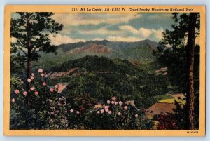 Gatlinburg Tennessee TN Postcard Mt. Le Conte Scenic View c1940's Vintage Trees