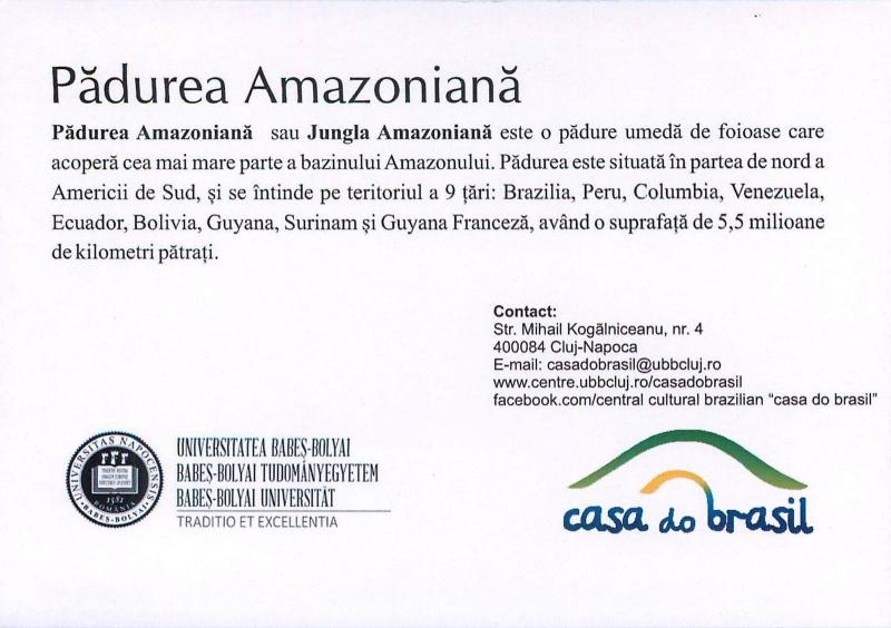 Amazon Forest Brazil sunset card 2scans