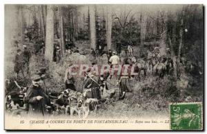 Old Postcard Hunting hounds was in the forest of Fontainebleau Rest under woo...
