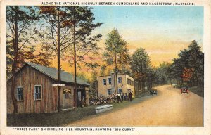 J55/ Hagerstown Maryland Postcard c1910 Forest Park Sideling Mountain 164