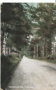 Scotland Postcard - Inverbreakie Road - Invergordon - Ross & Cromarty  U1845