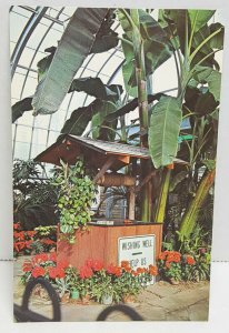 Birmingham Botanical Gardens Wishing Well Birmingham Alabama Vintage Postcard