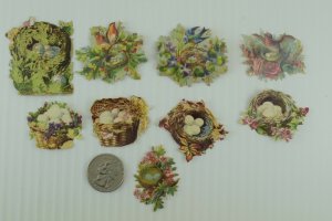 1880's-90's Victorian Die-Cut Lot Of 9 Leaves Nest Birds Eggs Berries PD361