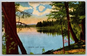 Payette Lake Idaho~Lake From Shore~Vintage Linen Postcard