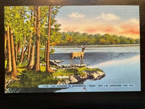 Vintage Postcard 1930-1945 The Scenery is Wonderful Dear I am Lonesome for You